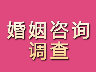 阳信婚姻咨询调查